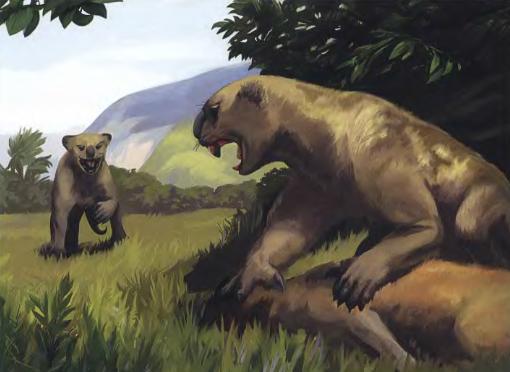 Эволюция человека. Книга 1. Обезьяны, кости и гены - i_089.jpg