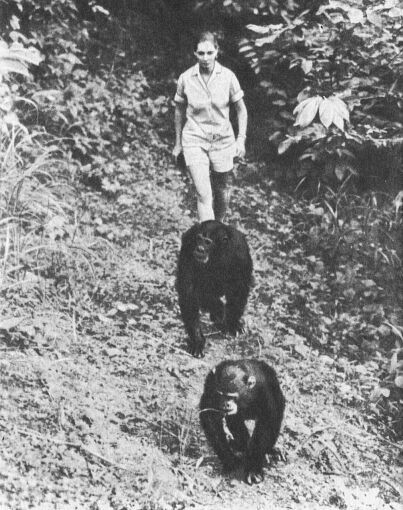 В тени человека - _10093ff1.jpg