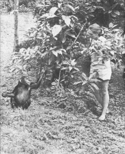 В тени человека - _10094ff.jpg