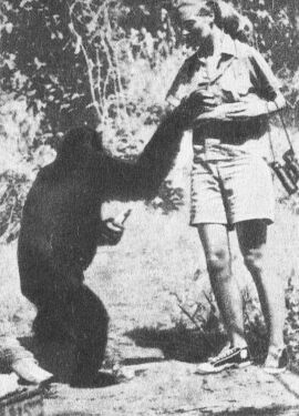 В тени человека - _10094fff1.jpg