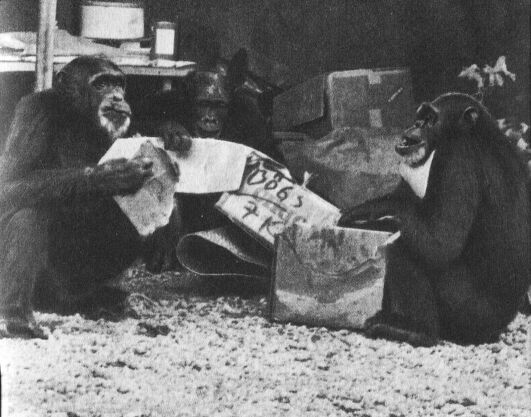 В тени человека - _10111f.jpg