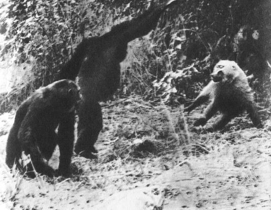 В тени человека - _10113fy1.jpg