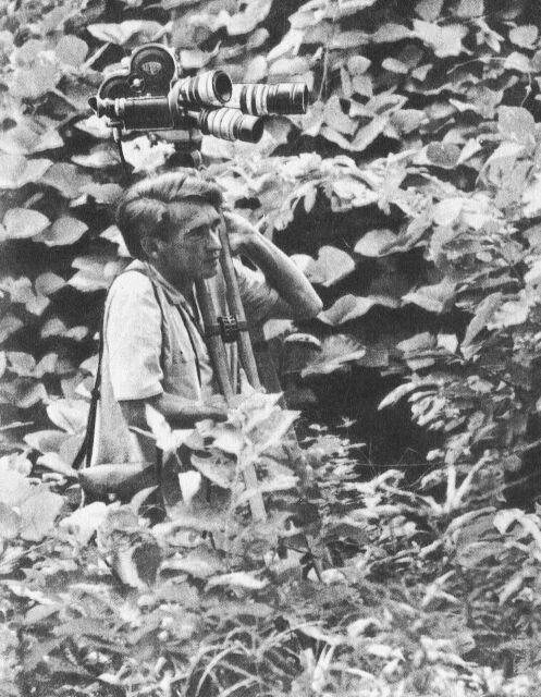 В тени человека - _10114f1.jpg