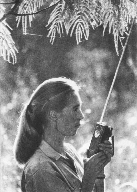 В тени человека - _10115f1.jpg