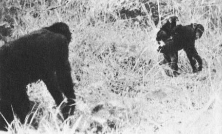 В тени человека - _10116ff2.jpg