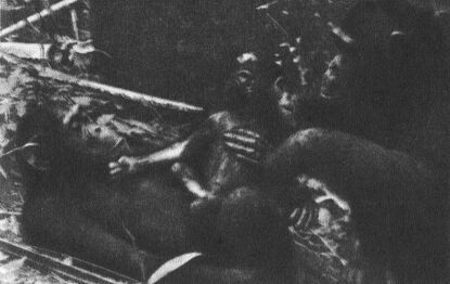 В тени человека - _10117f2.jpg