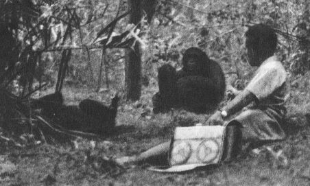 В тени человека - _10119f11.jpg