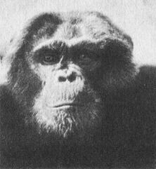 В тени человека - _10120ff.jpg