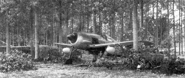 Асы люфтваффе пилоты Fw 190 на Западном фронте - pic_106.jpg