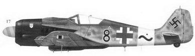 Асы люфтваффе пилоты Fw 190 на Западном фронте - Fb2toBdIm_152.jpg