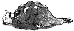 БДВ, или Большой и Добрый Великан - i_032.jpg