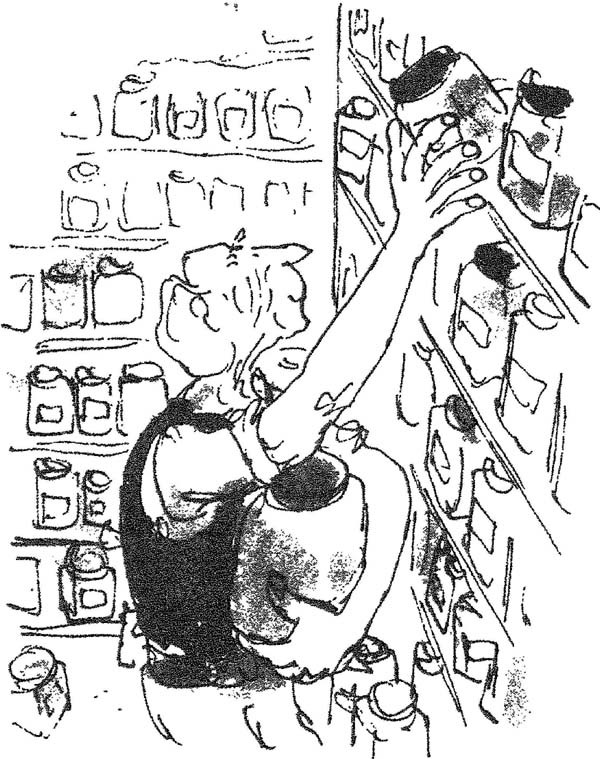 БДВ, или Большой и Добрый Великан - i_046.jpg