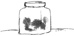 БДВ, или Большой и Добрый Великан - i_048.jpg