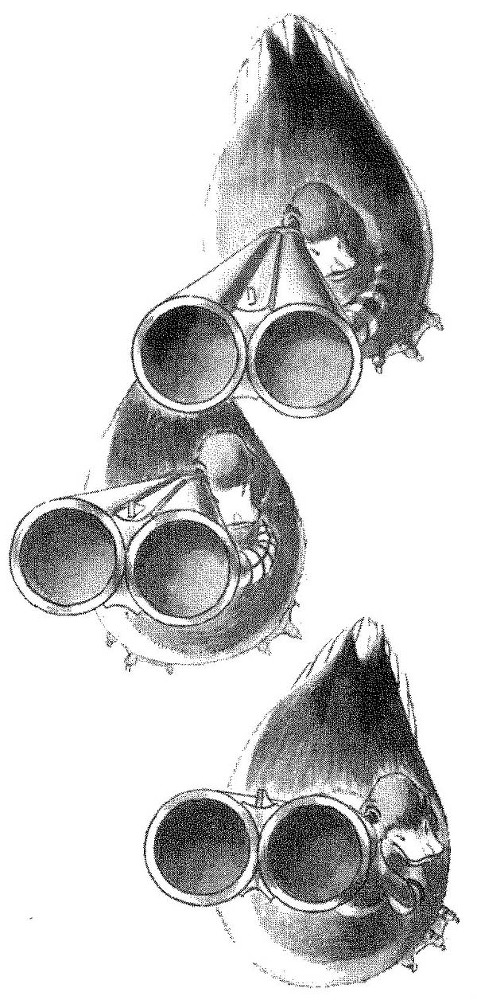 Волшебный палец - pic_19.jpg