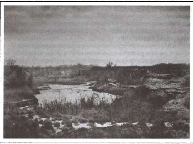 Путешествия по Китаю и Монголии. Путешествие в Кашгарию и Куньлунь - i_053.jpg