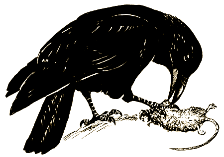 Пернатые артисты - i_004.png