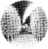 Безжалостное небо(сб.) - i_009.jpg