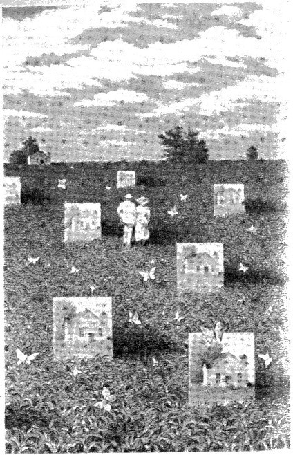 Безжалостное небо(сб.) - i_010.jpg