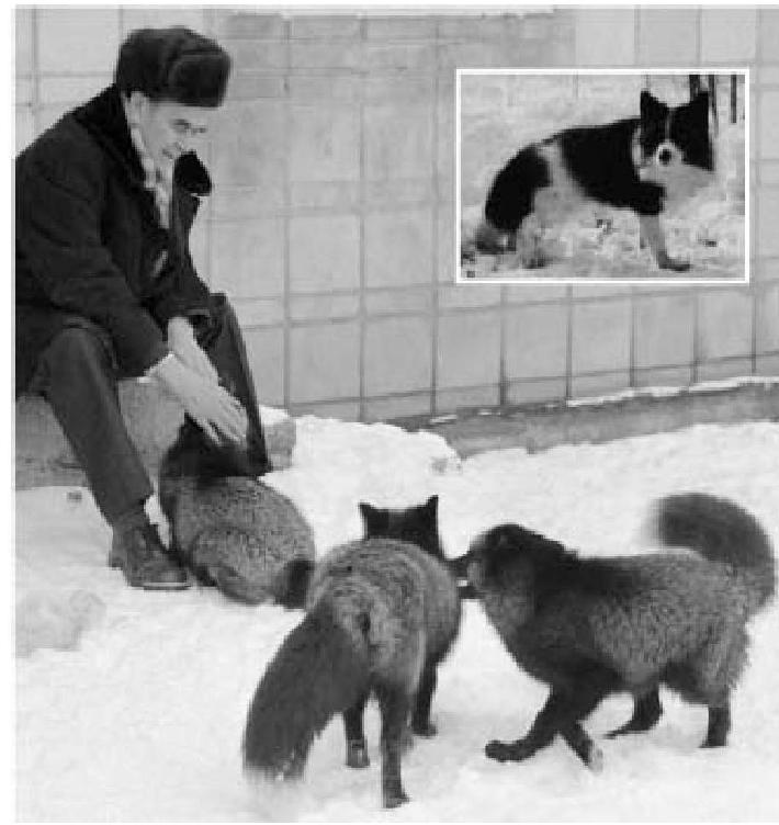 Величайшее Шоу на Земле: свидетельства эволюции. - gl3_lisa.JPG