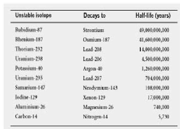 Величайшее Шоу на Земле: свидетельства эволюции. - gl4_chasi.JPG