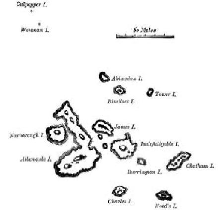 Величайшее Шоу на Земле: свидетельства эволюции. - gl9_ostrov.JPG