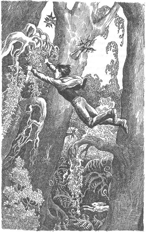 Лес потерянных - image04.jpg