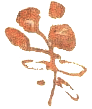 Медовый дождь - i_043.png