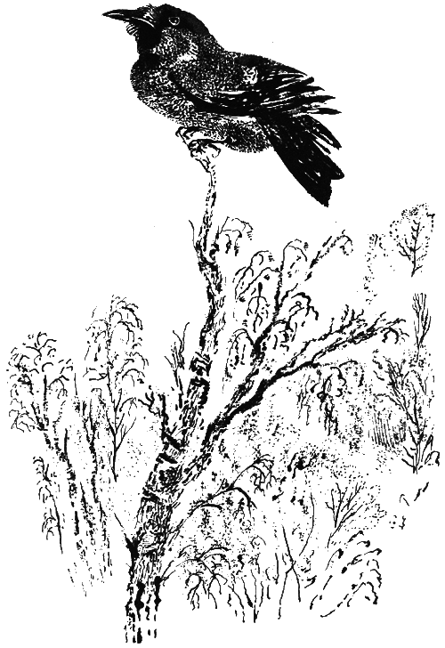 Медовый дождь - i_045.png