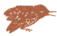 Медовый дождь - i_052.png