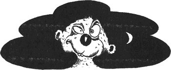 13 1/2 жизней капитана по имени Синий Медведь - i_021.jpg