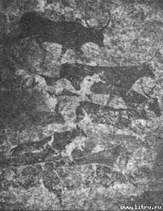 Пища богов - pic_12.jpg