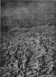 Пища богов - pic_4.jpg