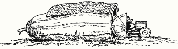 Приключенията на Незнайко - i_103.png