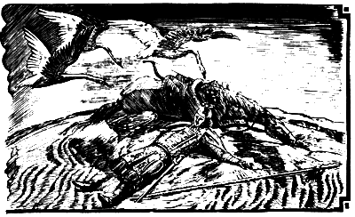 Джангар.Калмыцкий народный эпос(перепечатано с издания 1977 года) - i_021.png