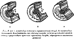 Жизнь без паразитов - i03.png