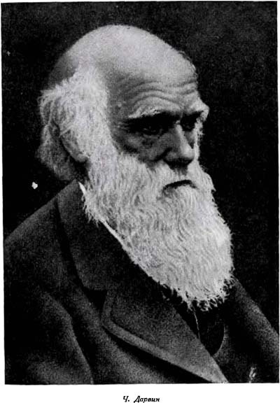 Земля в цвету - p0030.jpg