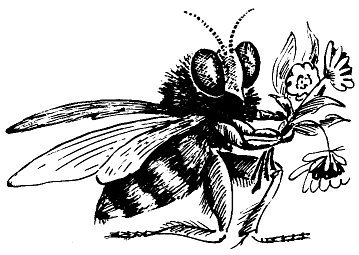 Не просто букашки - i_068.jpg