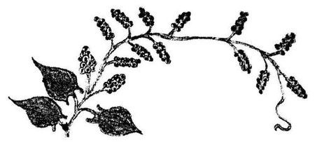 Танґо смерті - i_005.jpg