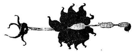 Танґо смерті - i_011.jpg