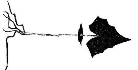 Танґо смерті - i_015.jpg