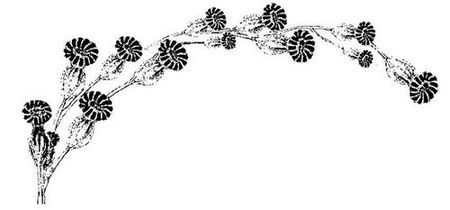 Танґо смерті - i_017.jpg