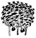 Танґо смерті - i_020.jpg