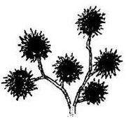 Танґо смерті - i_022.jpg