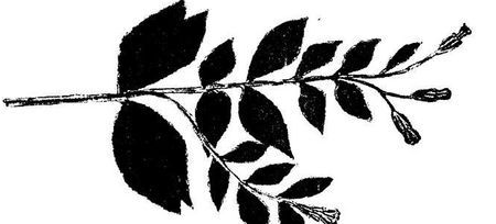 Танґо смерті - i_031.jpg