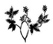 Танґо смерті - i_032.jpg