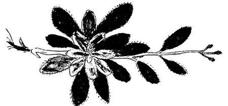 Танґо смерті - i_033.jpg