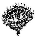 Танґо смерті - i_048.jpg