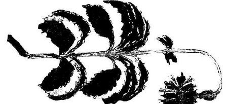 Танґо смерті - i_051.jpg