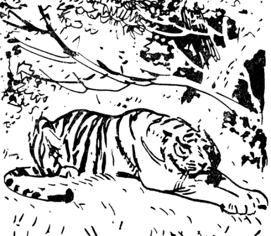 Встречи в тайге - i_004.png