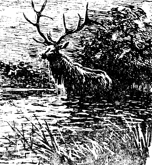 Встречи в тайге - i_010.png